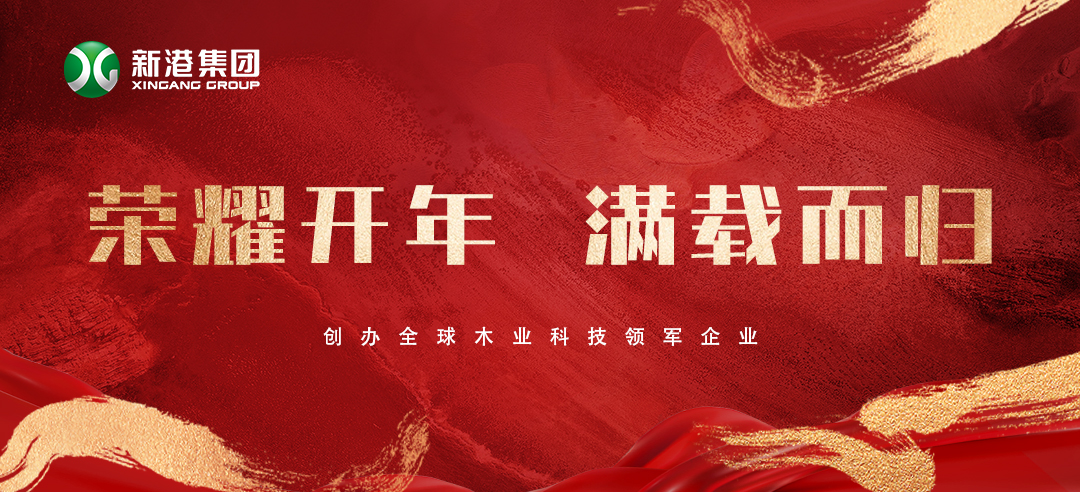 2025喜訊頻傳！新港集團(tuán)榮膺多項(xiàng)大獎(jiǎng)，再獲行業(yè)認(rèn)可！