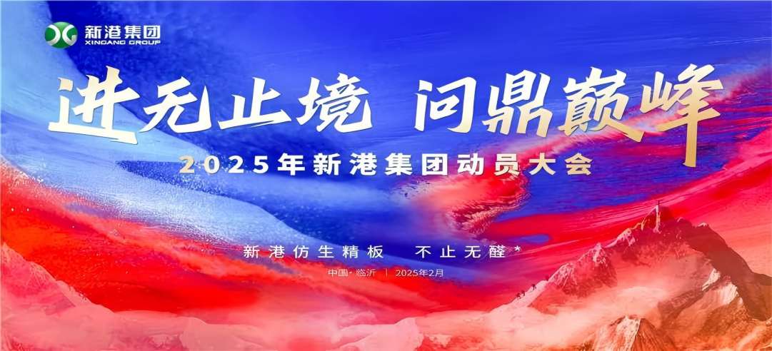 進(jìn)無(wú)止境，問(wèn)鼎巔峰！2025年新港集團(tuán)動(dòng)員大會(huì)成功召開(kāi)！